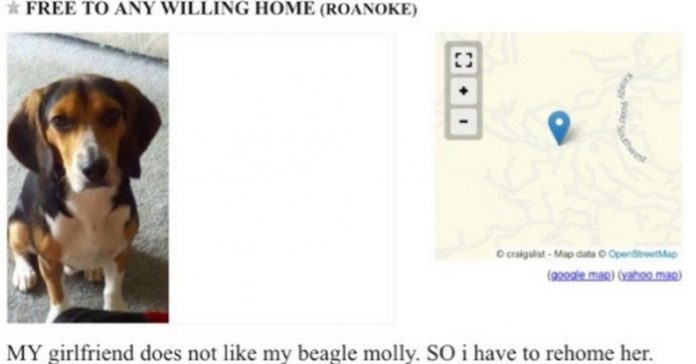 molly