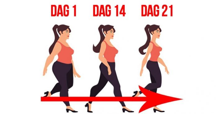 slank på 9 dager slank på 9 dager