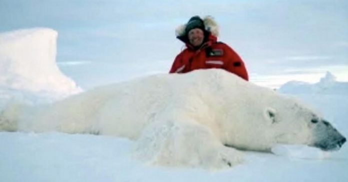 polar1