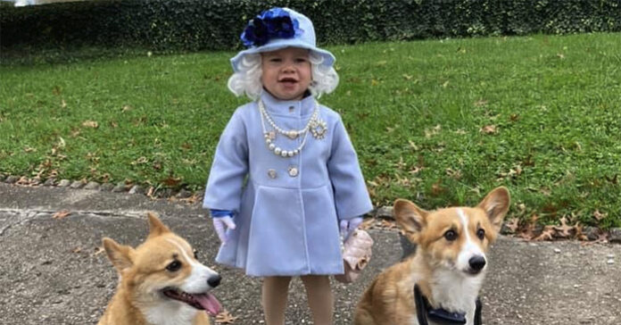 dronning