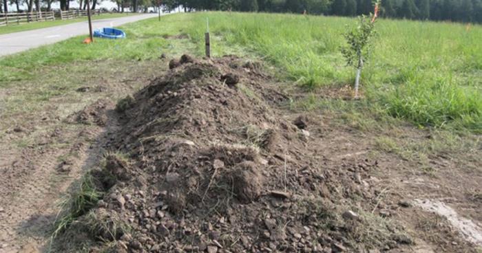 Politiet hører en lyd fra jordhaugen. Når de går nærmere oppdager de den GRUSOMME sannheten!