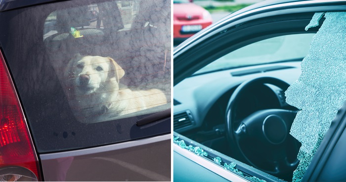 Mannen knuste vinduet og reddet LIVET til hundene i den kokvarme bilen: Nå blir han STRAFFET