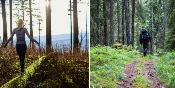 Forskerens oppdagelse: Naturen hjelper mot utbrenthet bedre enn medisiner