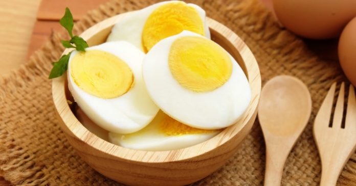 egg