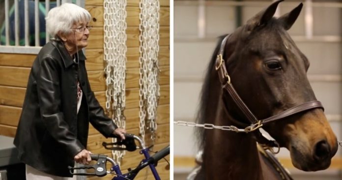 hest