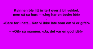 Mannen og kvinnen måtte dele sovekupe. Da gir hun den fremmede et forslag han ikke kan si nei til!