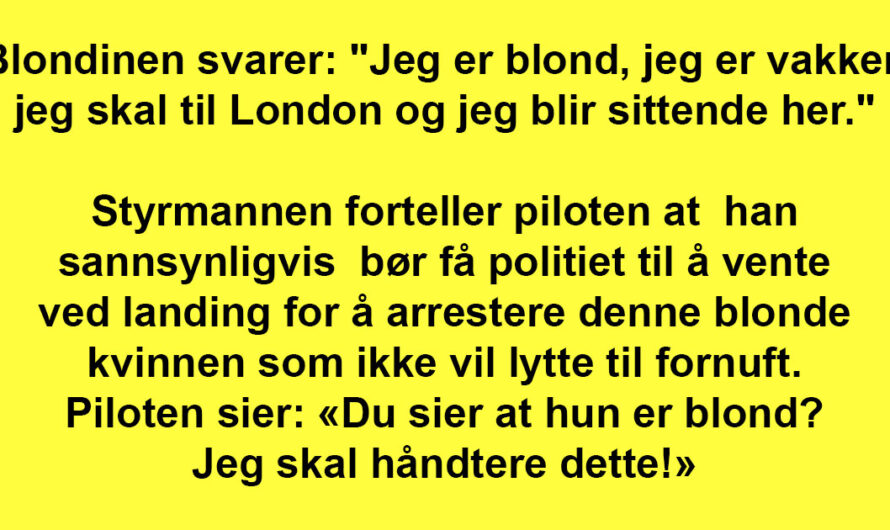 Blondinen NEKTET å flytte seg på flyet. Men kapteinen hadde en genial løsning!